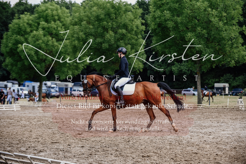 DSC_1773 | Pferde- und Turnierfotografie in Westsachsen. Pferdeportraits, Auftragszeichnungen und intuitive Kunst.