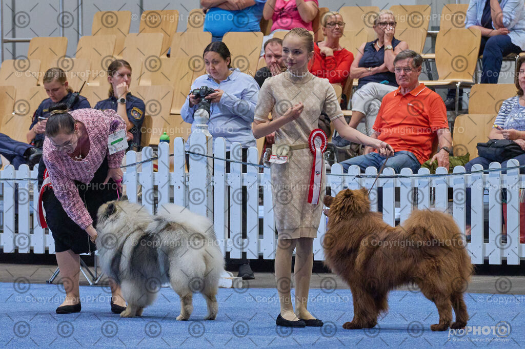 202406_ÖKV-IHA-Tulln24_DSC_5015 | proPHOTO - Realisiert mit Pictrs.com