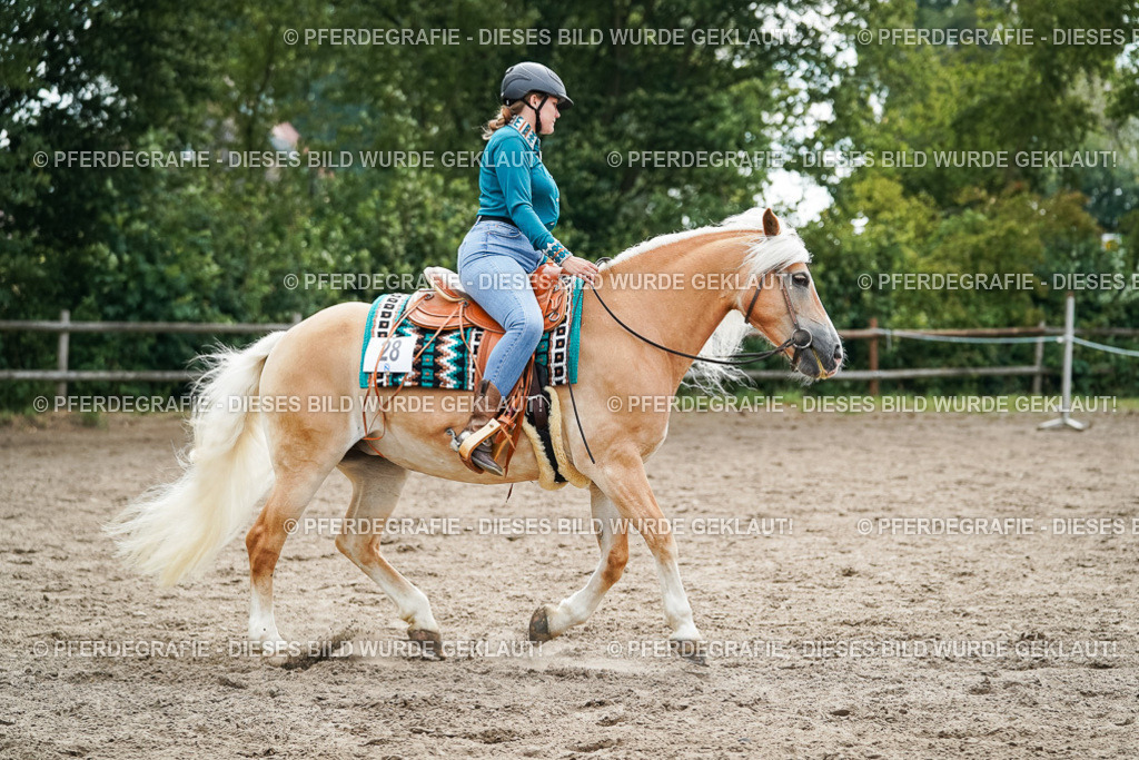 DSC04275 | Pferdegrafie