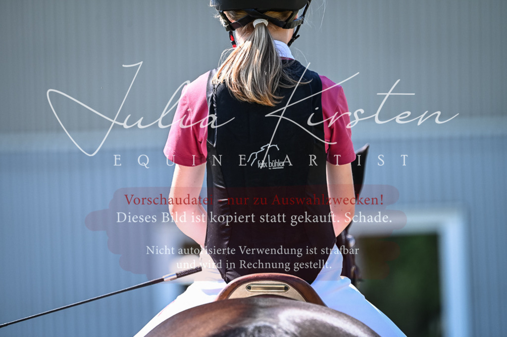 DSC_1147 | Pferde- und Turnierfotografie in Westsachsen. Pferdeportraits, Auftragszeichnungen und intuitive Kunst.