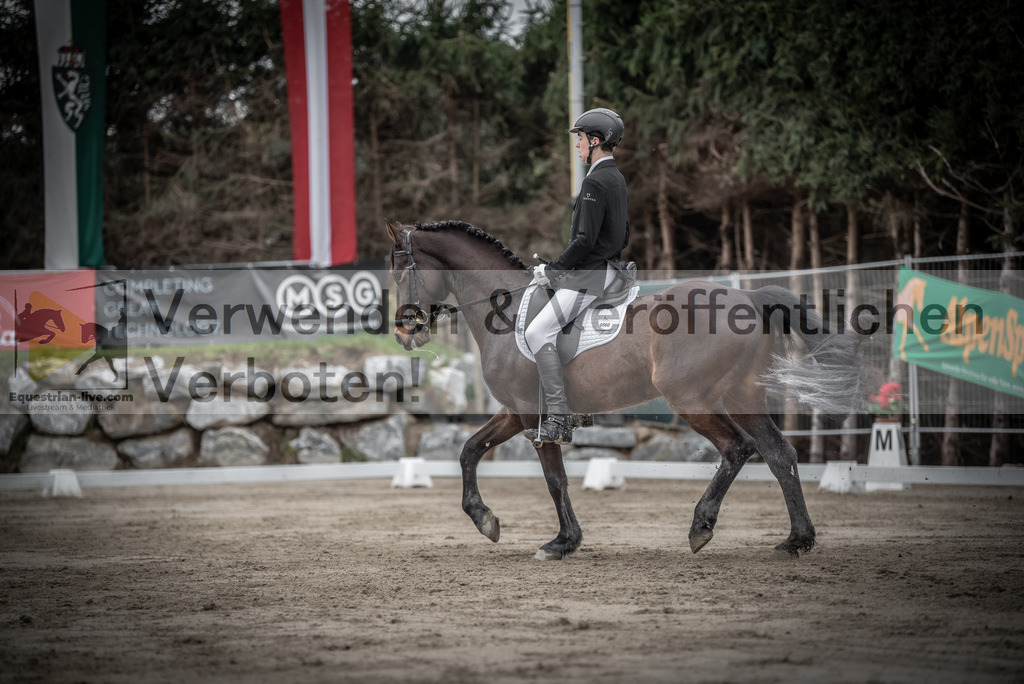 DSC_9372 | equestrian-live-com