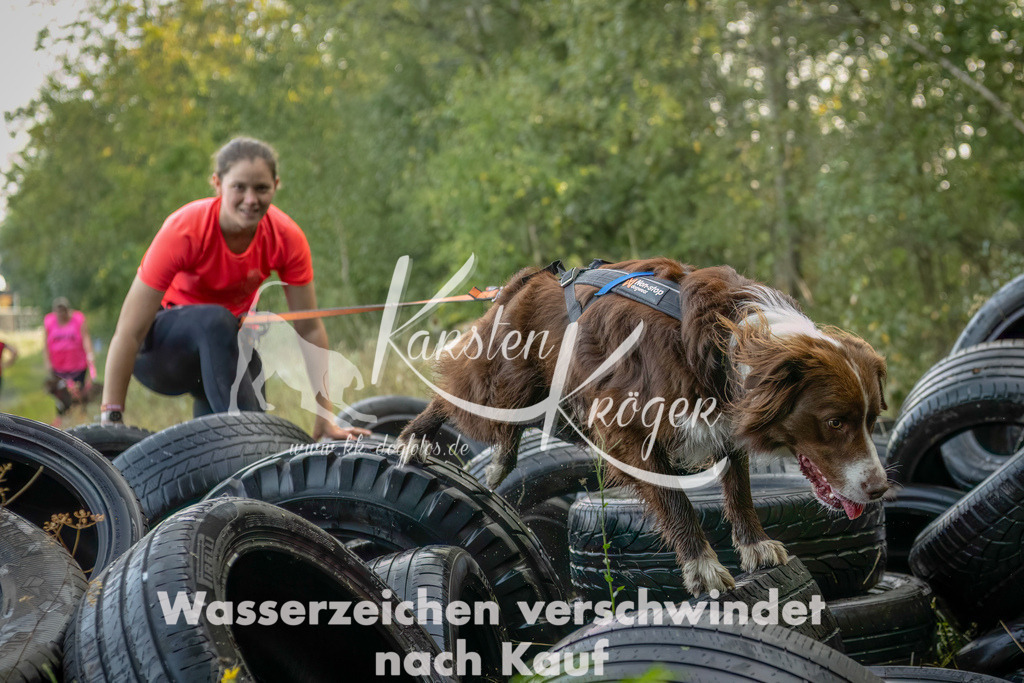 1030_ZZ94550-Bearbeitet-2 | kk-dogfotos