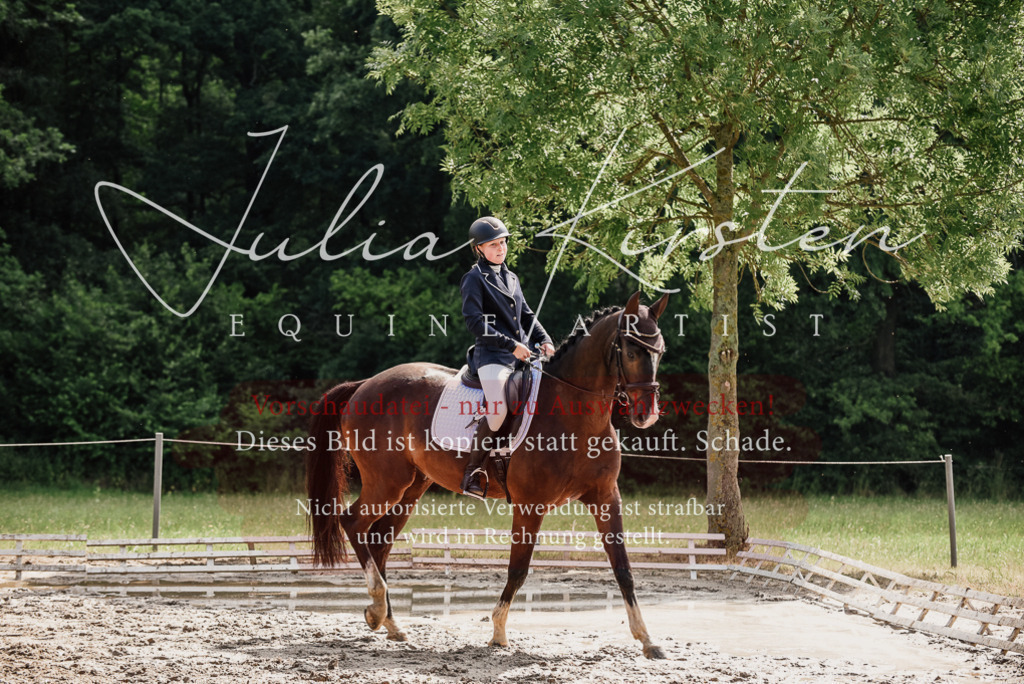 DSC_0090 | Pferde- und Turnierfotografie in Westsachsen. Pferdeportraits, Auftragszeichnungen und intuitive Kunst.