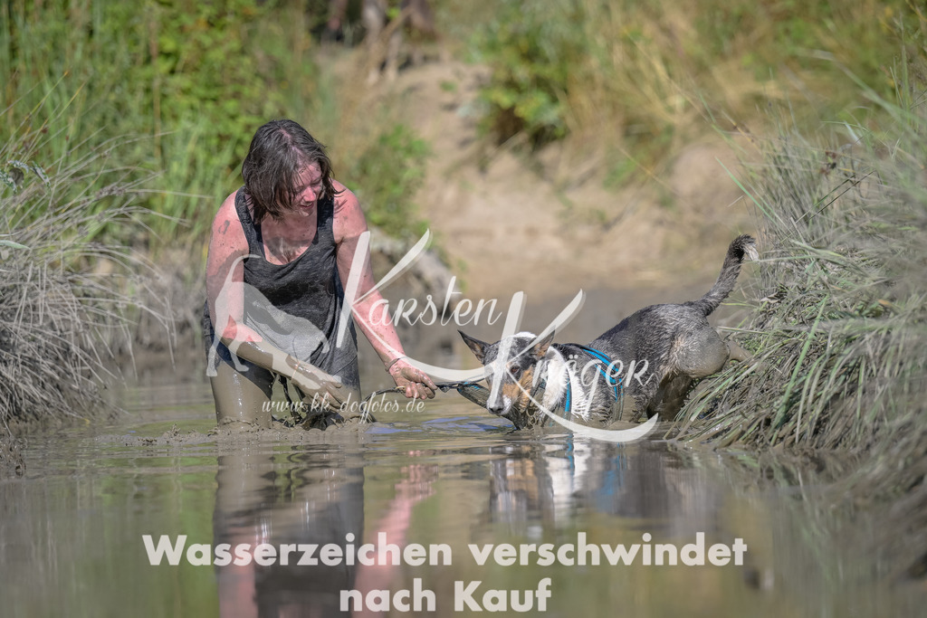 1751_ZZ91887 | kk-dogfotos