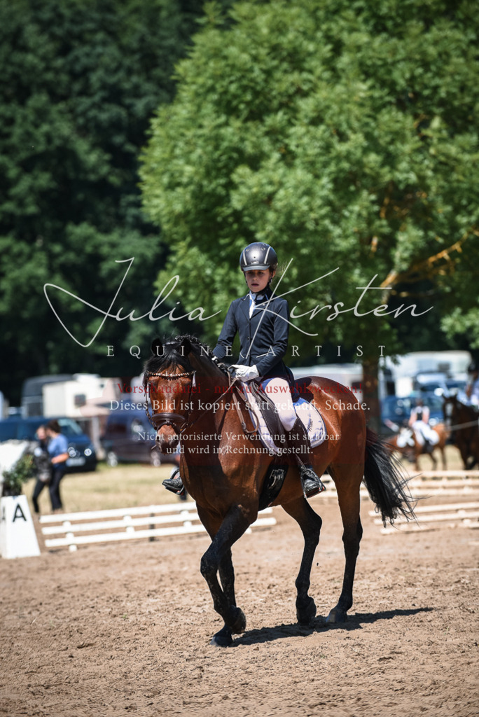 DSC_2859 | Pferde- und Turnierfotografie in Westsachsen. Pferdeportraits, Auftragszeichnungen und intuitive Kunst.