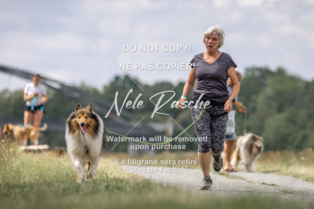 nelerasche_BuHu2026_SaCC1100-1200_01 | nelerasche