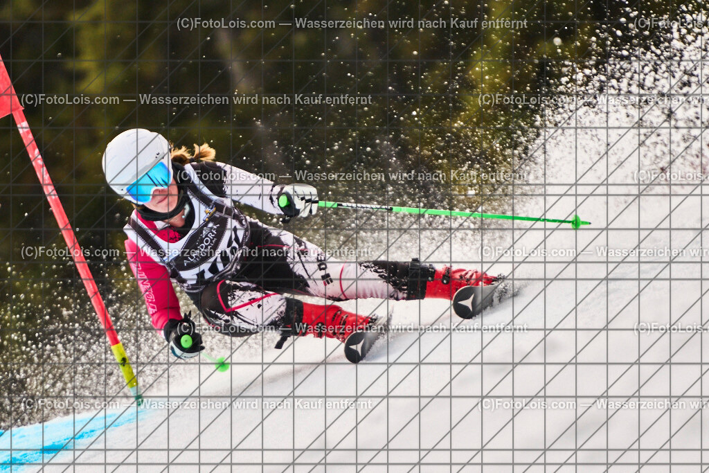 ALP1530_steir-MASTERS-Meistersch-SG_Reiteralm_WILLE Katharina | MASTERS-LM-Super-G Steiermark mit Wiener-LM auf der Reiteralm am Fr 28. März 2025.                         Veranstalter: Steirischer Skiverband (5000)Durchführender Verein: WSV Pichl-Reiteralm (5083)