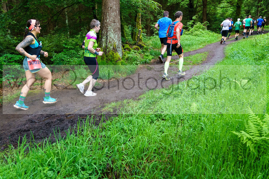 Rennsteiglauf Marathon 2024 | 25. Mai 2024 - 42,2 km von Neuhaus nach Schmiedefeld