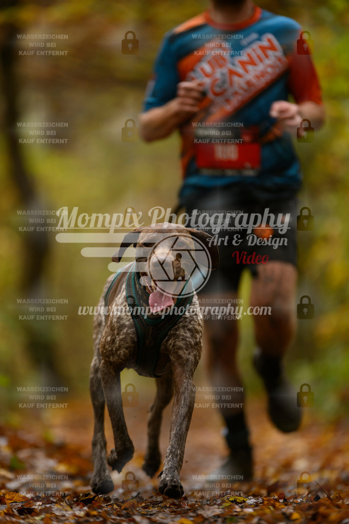 MompixPhotography_CD7S_DI_CCL-5 | mompixphotography