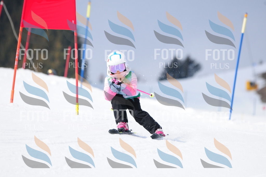 A3621 | holidayphoto