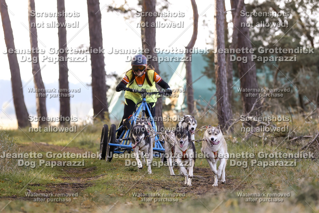 Dog Paparazzi - Elsholz 25 -36 | Dog Paparazzi Jeanette Grottendiek Fotografie & Videografie - Realisiert mit Pictrs.com