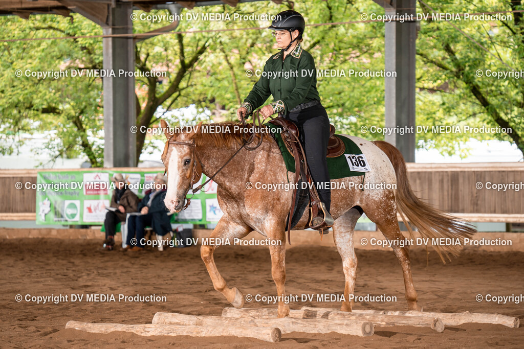 Erbach Tag 1-514 | dv-media-shop - Realisiert mit Pictrs.com