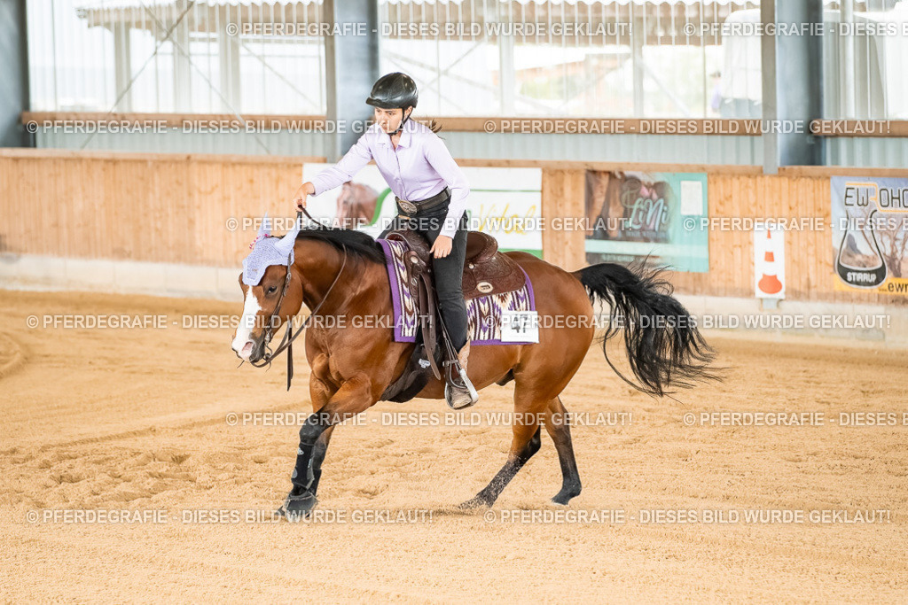 DSC02066 | Pferdegrafie