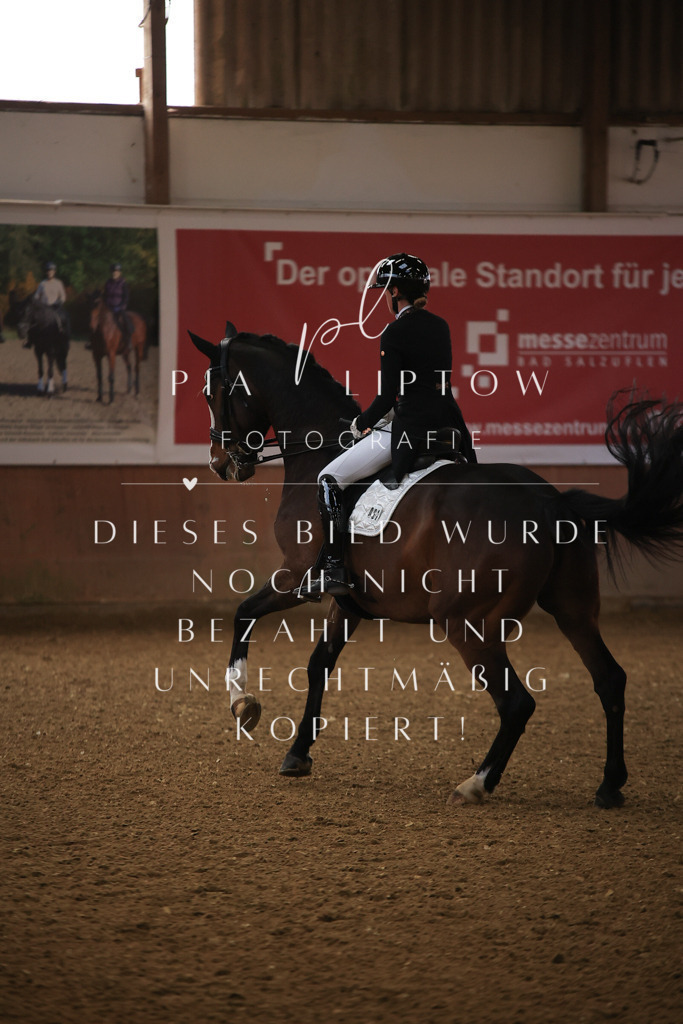 IMGT4436 | pl-fotografie