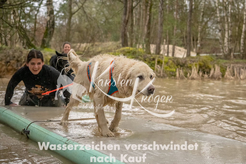 0901_ZZ90138-Bearbeitet | kk-dogfotos