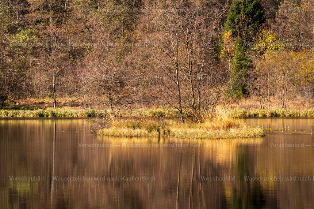 Sankenbachsee im Schwarzwald | im Herbst - Realisiert mit Pictrs.com