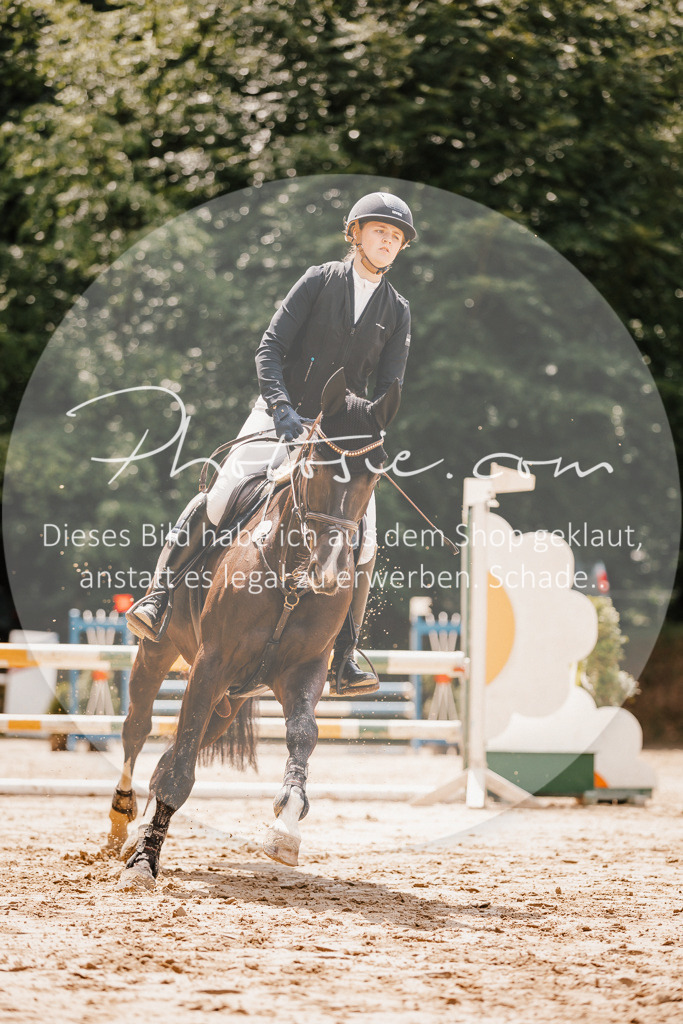 3I6A2334 | Stimmungsvolle Portraits und Reitsportfotografie im Ruhrgebiet und im Münsterland.

Pferdefotografie, Hundefotografie, Tierfotografie, Reportagen, Portraits von Tier und Mensch, Turnierfotografie in Bochum, Recklinghausen, Marl, Haltern am See, Dülmen.. - Realisiert mit Pictrs.com