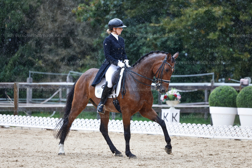 8_1-001-Klasse S_  -StoibPH-3961 | working equitationturnier fotograf videograf stoibphotography marixx film working equitation deutschland reitsport turnierfotografie eventfotografie equestrian events