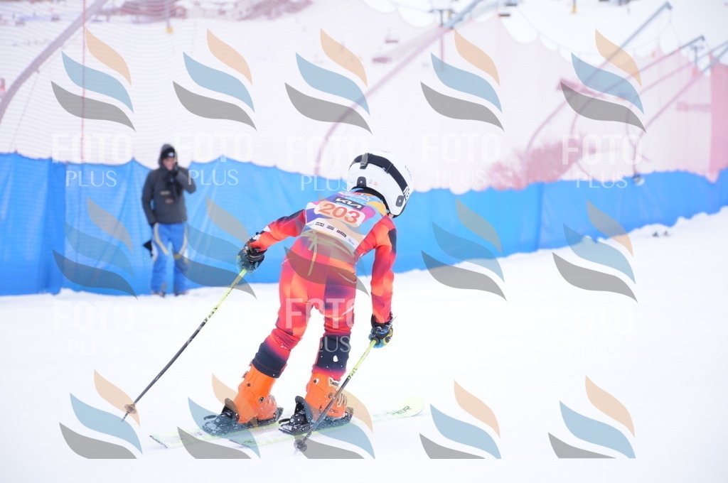 DSC_9248 | holidayphoto