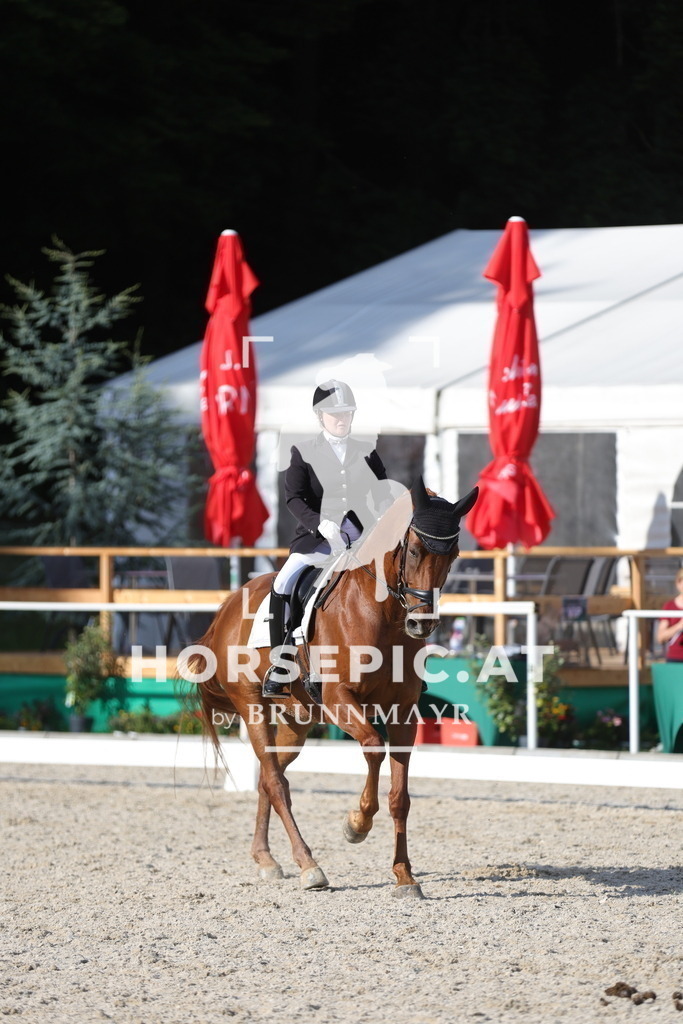 0P6A7391 | Willkommen bei Brunnmayr - Design & Fotografie – Ihrem Spezialisten für Reitturniere und Pferdeveranstaltungen in Oberösterreich, Salzburg und Bayern! Seit über 17 Jahren sind wir leidenschaftlich dabei.