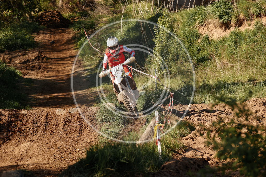 RottlebenIGE25_Lauf3-480 | koppe-media