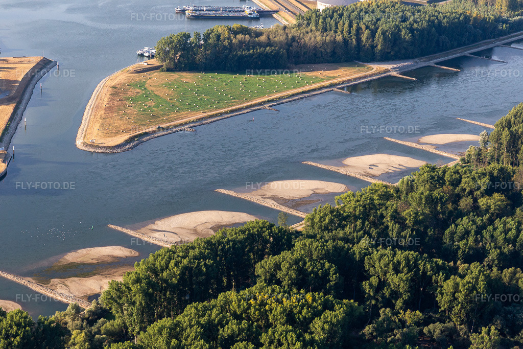Luftbild: trockengefallene Buhnen und Sandbänke im Rhein wegen Niedrigwasser in Neupotz im Bundesland Rheinland-Pfalz in Deutschland. Foto: IMG_133726.jpg vom 14.08.2022 durch Werner Riehm/FLY-FOTO.de