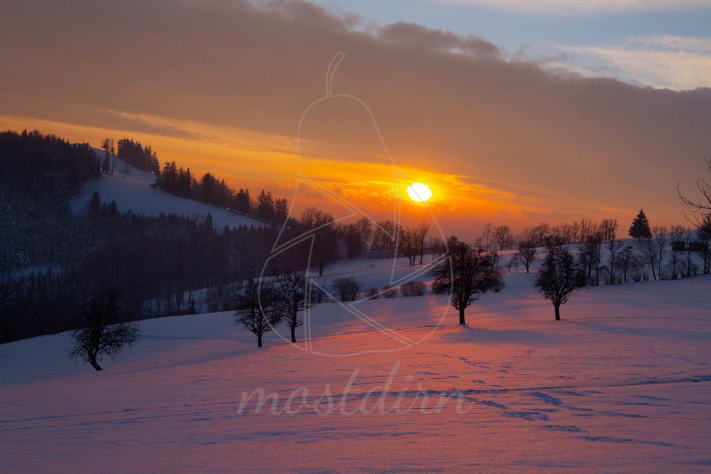 Wintersonne Panoramahöhenweg | Bei Veröffentlichung des Bildes ist eine Namensnennung wie folgt erforderlich: 
Foto: Mostdirn Irmgard Wieser - Realisiert mit Pictrs.com