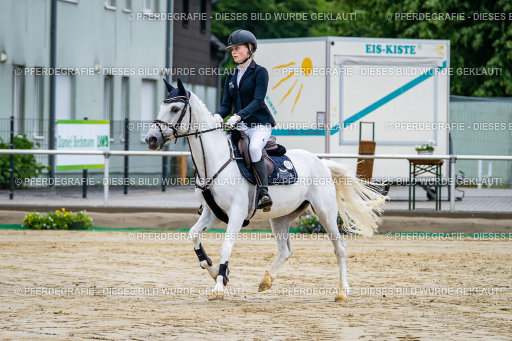 DSC01692 | Pferdegrafie