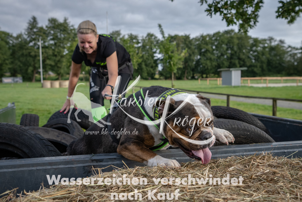 0923_ZZ90219 | kk-dogfotos