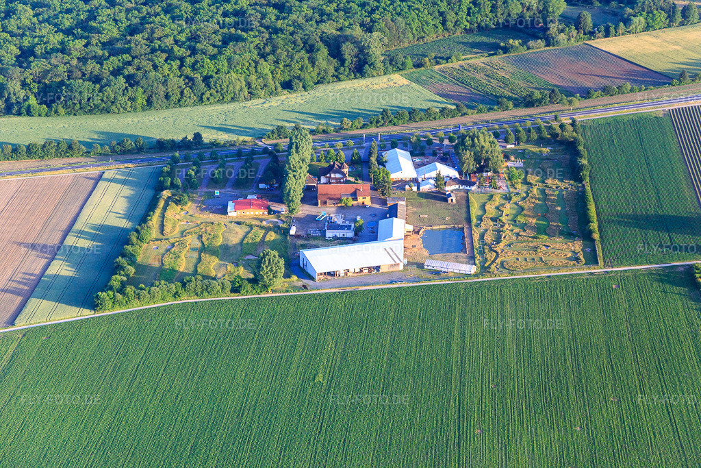 Luftbild: Fussballgolfpark Südpfalz im Adamshof Kandel in Kandel im Bundesland Rheinland-Pfalz in Deutschland. Foto: IMG_080885.jpg vom 13.06.2015 durch Werner Riehm/FLY-FOTO.deWWW.FUSSBALLGOLFPARK-SUEDPFALZ.DE