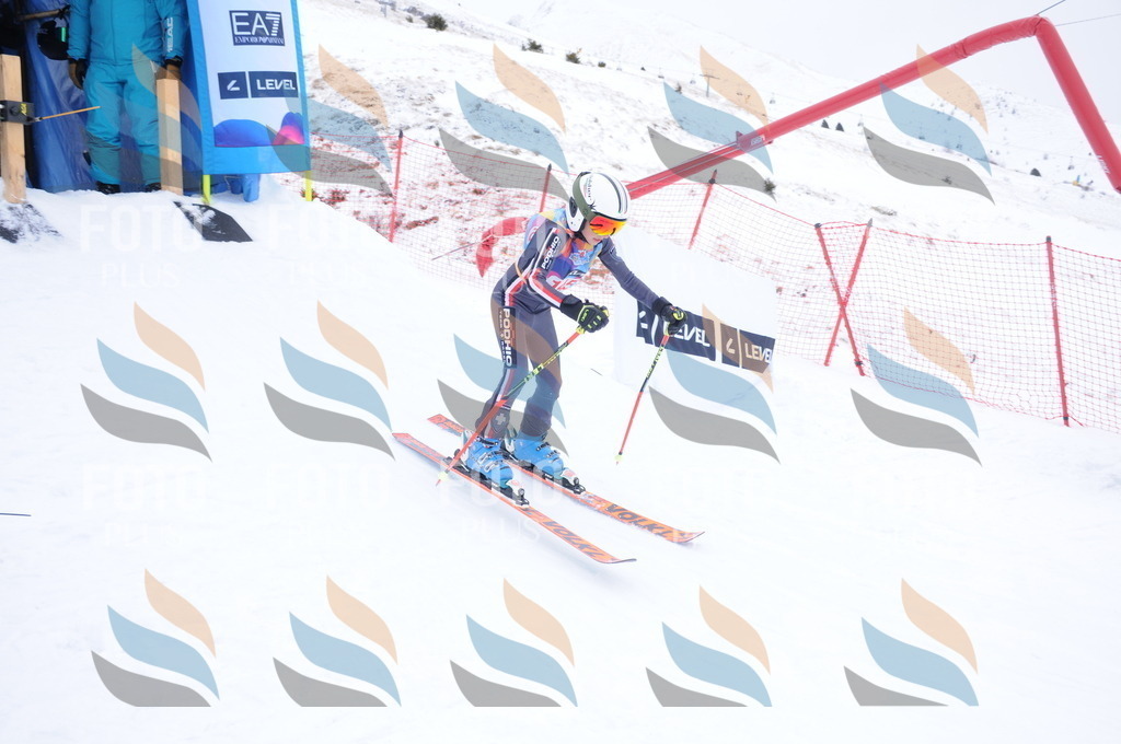 DSC_8709 | holidayphoto