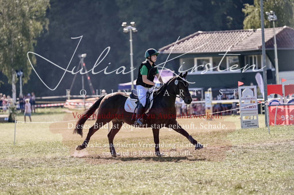 DSC_3598 | Pferde- und Turnierfotografie in Westsachsen. Pferdeportraits, Auftragszeichnungen und intuitive Kunst.