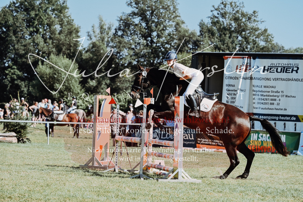 DSC_6586 | Pferde- und Turnierfotografie in Westsachsen. Pferdeportraits, Auftragszeichnungen und intuitive Kunst.