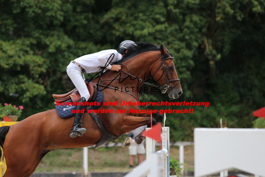 IMG_2873 | lmwpictures - Realisiert mit Pictrs.com