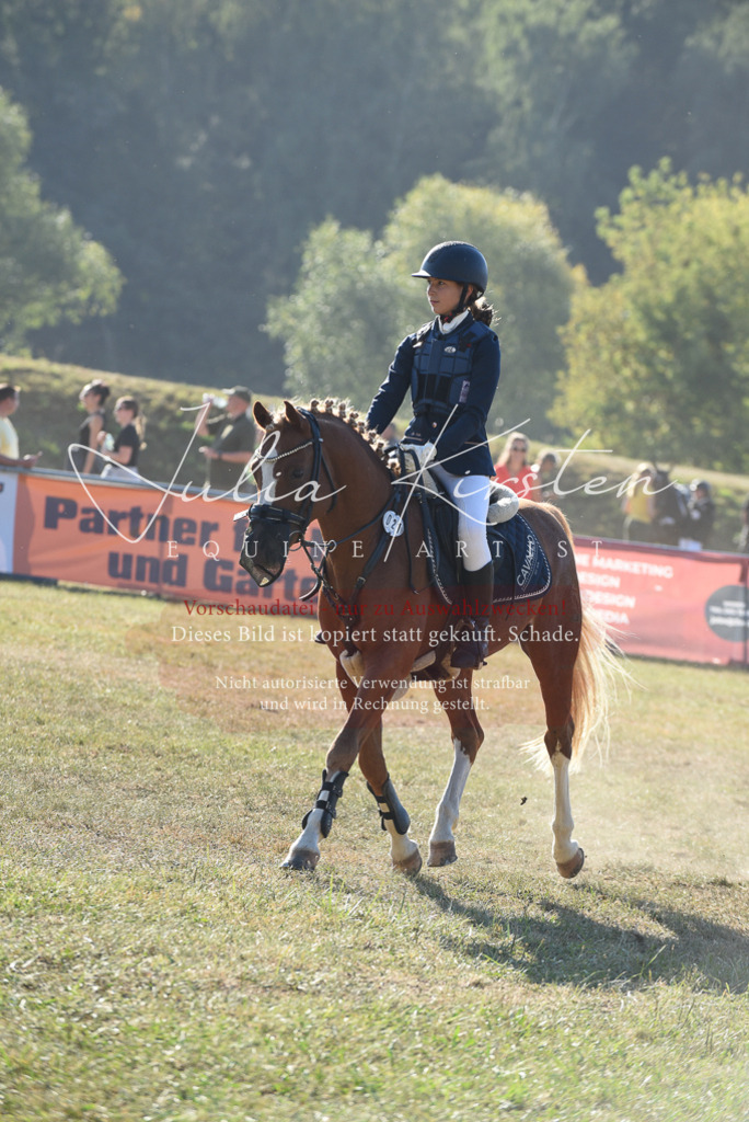 DSC_5641 | Pferde- und Turnierfotografie in Westsachsen. Pferdeportraits, Auftragszeichnungen und intuitive Kunst.