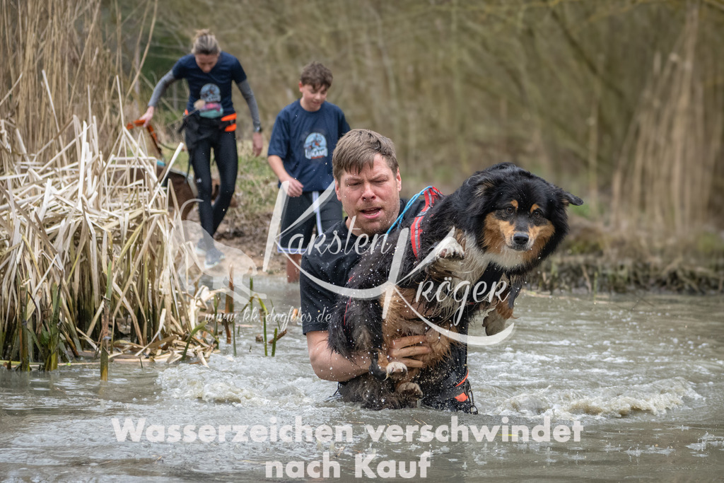 1103_ZZ95034 | kk-dogfotos