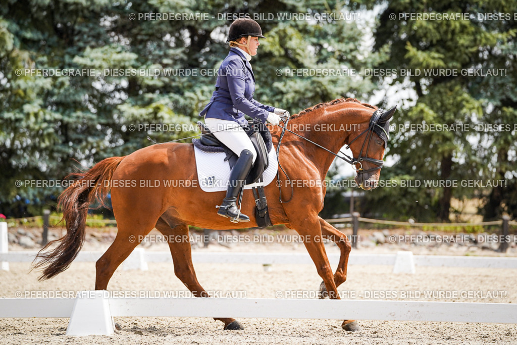 DSC00579 | Pferdegrafie