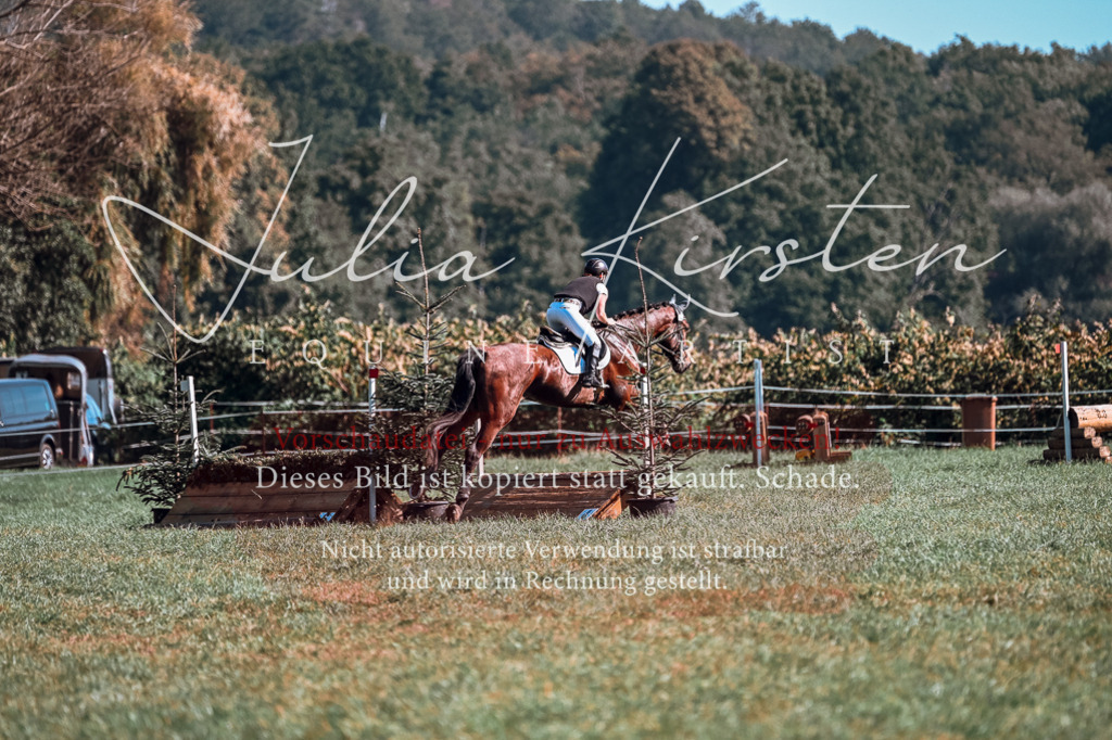 DSC_0995 | Pferde- und Turnierfotografie in Westsachsen. Pferdeportraits, Auftragszeichnungen und intuitive Kunst.