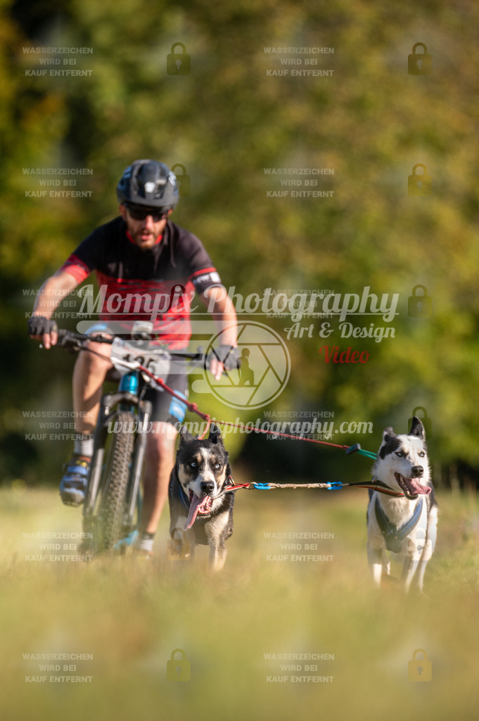 CDLBDB_15_10_2023_Dimanche-322 | mompixphotography