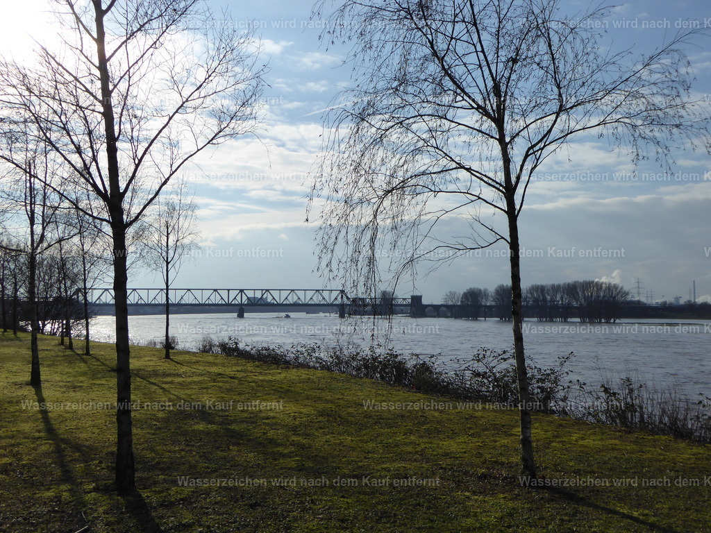 P1000813 | Entdecken Sie die faszinierende Welt von Norbert Michels: Surreale Kunstwerke, hochwertige Fotos, Leinwandbilder & Fotoprodukte wie Tassen mit bild7 - Realisiert mit Pictrs.com