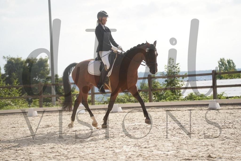 tgbhsamstag (2597) | d.tail Visions - Shop - Realisiert mit Pictrs.com