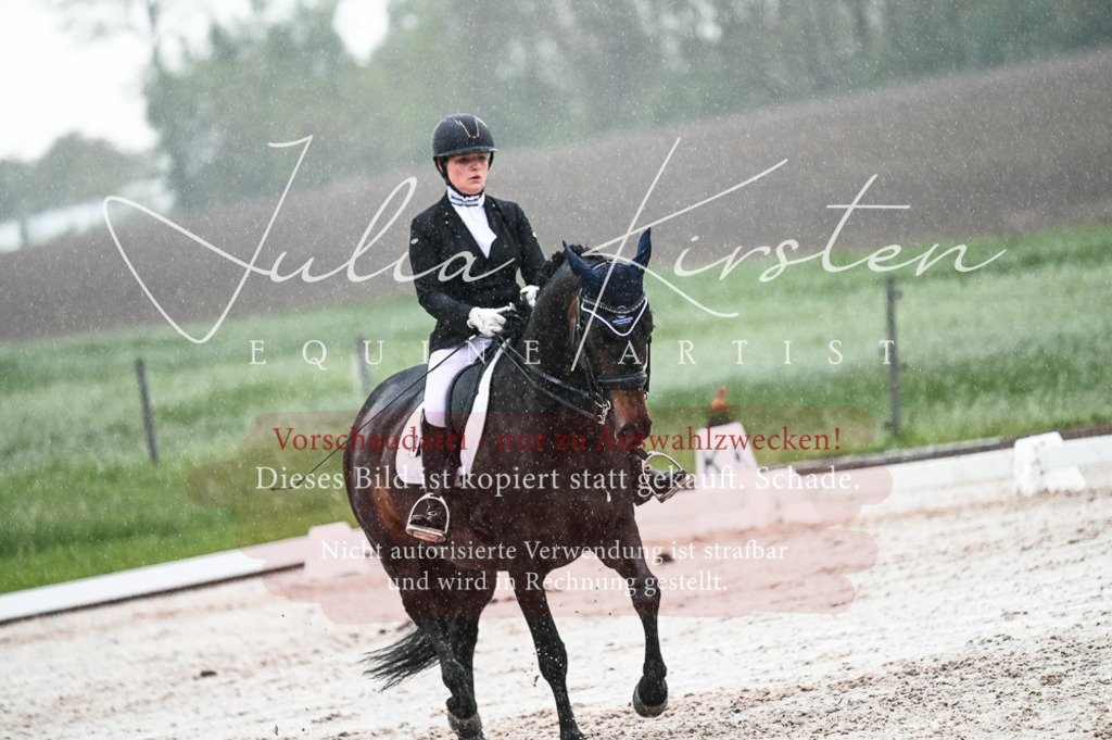 DSC_4706 | Pferde- und Turnierfotografie in Westsachsen. Pferdeportraits, Auftragszeichnungen und intuitive Kunst.