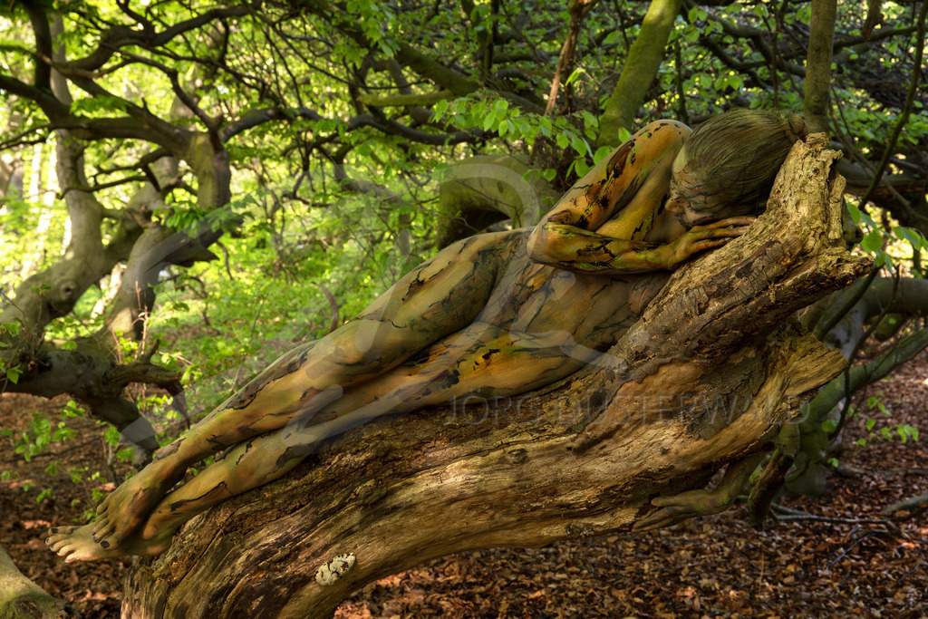 NATUREART Bodypainting SÜNTELBUCHEN  (Aktmodell: Fee / Projektfotograf: D. Ludwig) | exklusive Bilder, Drucke, Kalender und Bücher vom Atelier Jörg Düsterwald - Realisiert mit Pictrs.com
