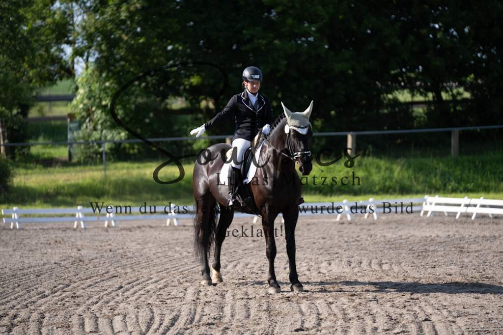 A7V02269 | Pferdefotograf