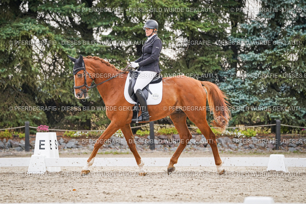 DSC00238 | Pferdegrafie