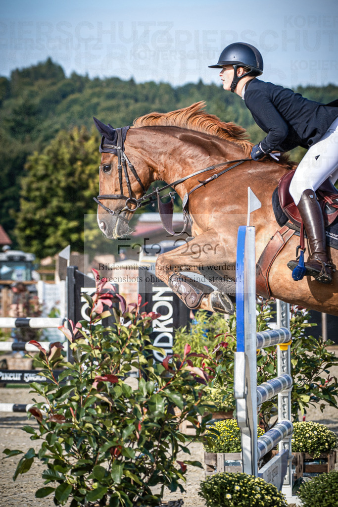 DOS_5338 | Entdecke hochwertige Reitturnierfotos von Foto Oger. Professionell, emotional und authentisch – jetzt Lieblingsmomente im Shop bestellen.Deutschlandweite Turnierfotografie. - Realisiert mit Pictrs.com