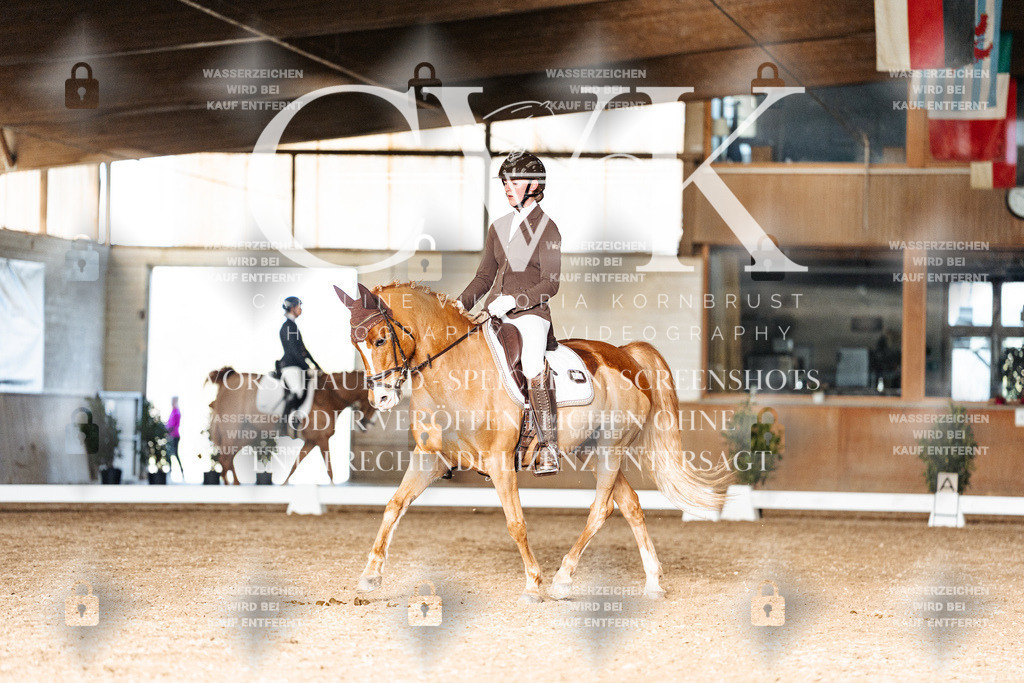 CK902916 | Turnierfotografie Pferdefotografie Trier Rheinland-Pfalz Pferdesport Reitsport Tierfotografie Sportfotografie Pferdevideo Pferdevideografie Equestrianvideography equestrianphotography  - Realisiert mit Pictrs.com