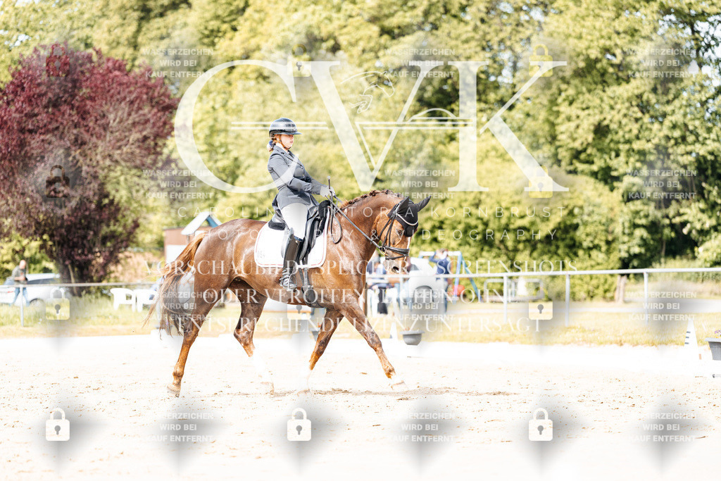 CK901321 | Turnierfotografie Pferdefotografie Trier Rheinland-Pfalz Pferdesport Reitsport Tierfotografie Sportfotografie Pferdevideo Pferdevideografie Equestrianvideography equestrianphotography  - Realisiert mit Pictrs.com