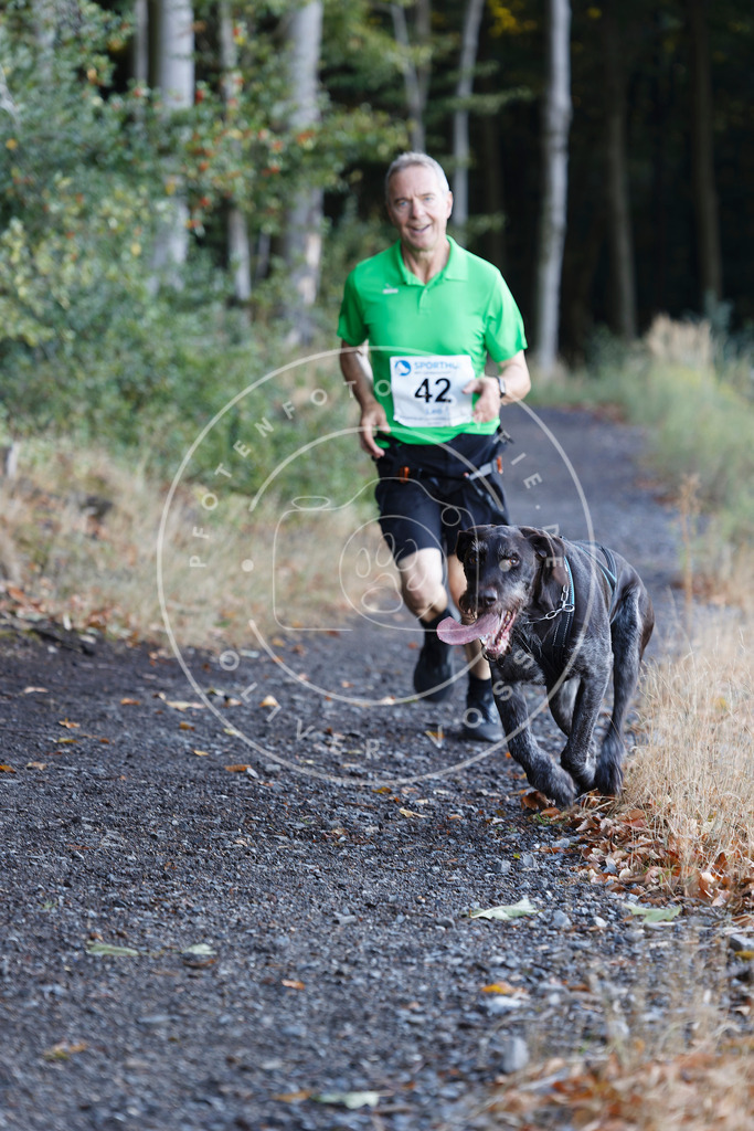 0L8A1688 | Hundefotografie, Tierfotograf, Pfotenfotografie, Fotoshooting Hund, Hunde Portrait, Hundesport, Hundeportraits, Heideshooting, Hunde, Sportfotograf, Hundefotograf, Turnierhundsport, THS,  - Realisiert mit Pictrs.com