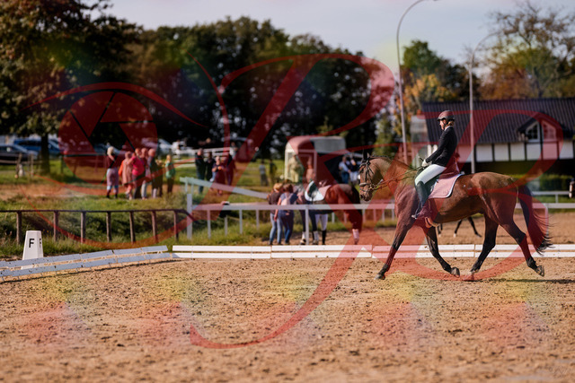 2026_10_03_Siefer-Hof_130230_Z81_56997840 | Professionelle Reitsport-, Turnier- und Eventfotografie von Robert Broda. Galerien mit ausgewählten und bearbeiteten Bildern direkt online ansehen und bestellen.